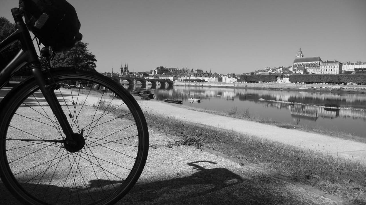 Les Ateliers Du Roi Apartamento Blois Exterior foto