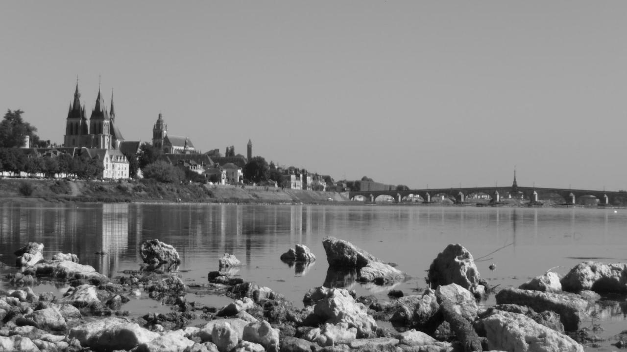 Les Ateliers Du Roi Apartamento Blois Exterior foto